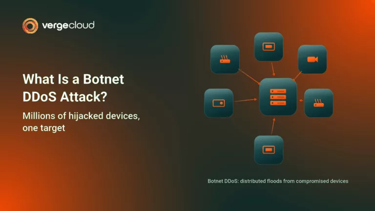 Botnet DDoS Attack